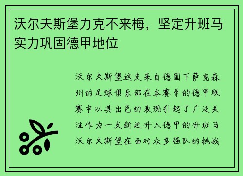 沃尔夫斯堡力克不来梅，坚定升班马实力巩固德甲地位